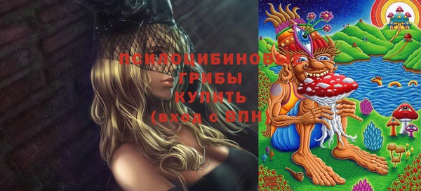 прущие крисы Верхний Тагил